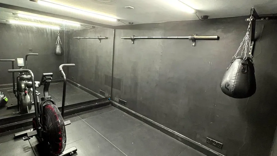 Conditioning room with air bike and punching bag